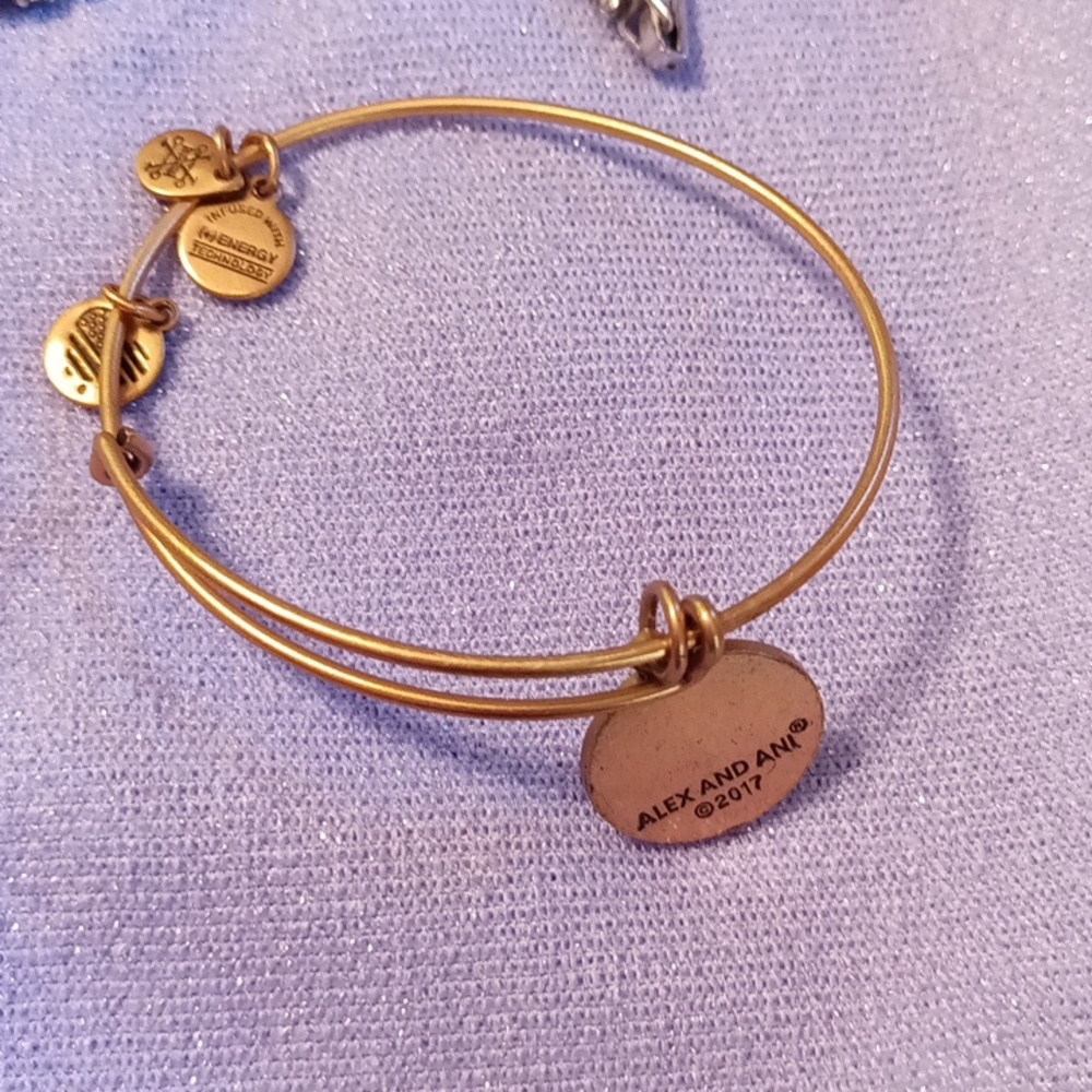 Alex and Ani bracelet K
